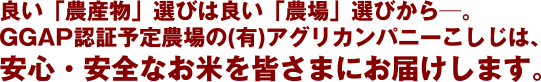 �ǂ��u�_�Y���v�I�т͗ǂ��u�_��v�I�т��焟�B
GGAP�F�ؗ\��_���(�L)�A�O���J���p�j�[�������́A���S����S�Ȃ��Ă��F���܂ɂ��͂����܂��B