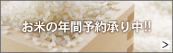 ���Ă̔N�ԗ\�񏳂蒆!!