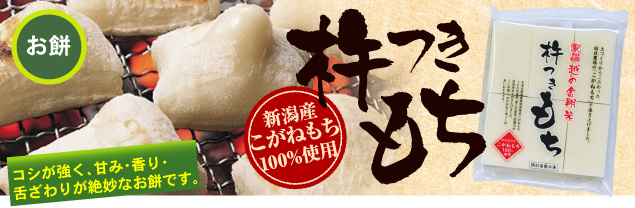 �V�����Y�����˂���100���g�p
�n������